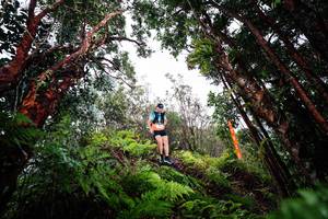 BIB: 
                            <button type="button" onclick="openModal(26202660)" class="btn btn-primary btn-sm float-right btn-popup" data-toggle="modal" data-target=".modal-high-quality">
                        <i class="fas fa-shopping-cart"></i> Add to Cart
                    </button>
                                            <button type="button" onclick="isThisMe(26202660, true)" class="btn btn-success btn-sm float-right btn-popup btn-isme hidden" data-toggle="tooltip" data-placement="bottom" title="นี่คือรูปของคุณใช่ไหม คลิกที่นี่เพื่อเอาเข้าอัลบั้ม">
                        <i class="fas fa-plus"></i> Add to album
                    </button>
                    <button type="button" onclick="isThisMe(26202660, false)" class="btn btn-warning btn-sm float-right btn-popup btn-isnotme hidden">
                        <i class="fas fa-ban"></i> Remove from album
                    </button>